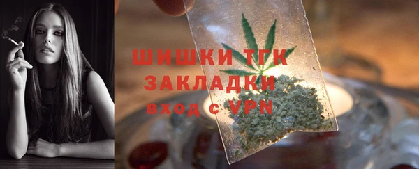 стаф Абаза