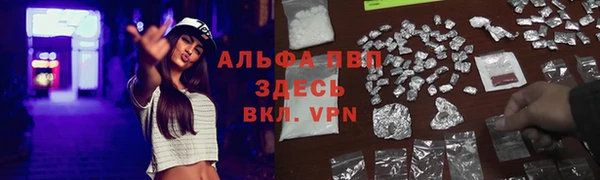 стаф Абаза