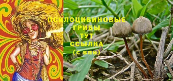 герыч Пестово