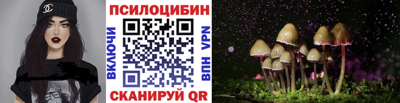 Псилоцибиновые грибы Psilocybine cubensis  Власиха 