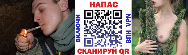 blacksprut ссылки  магазин  наркотиков  Власиха  Бошки марихуана сатива 